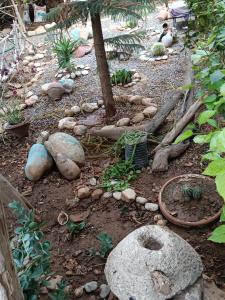 een tuin met rotsen en een boom en een rotstuin sidx sidx sidx bij Chez Fatima in Agadir