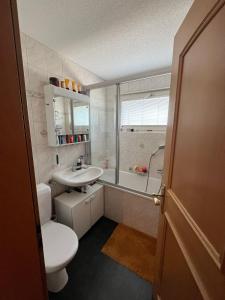 a bathroom with a toilet and a sink and a shower at Le Sorelle Apartments 1 in Ferden