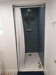 a bathroom with a shower with blue tiles at Maison bord de Marne 8min disneyland et val d'Europe in Chalifert