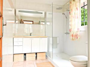 uma casa de banho com um lavatório, um WC e um chuveiro em Douceur d'Azur em Nice