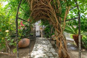 einen Garten mit einem Torbogen mit einem Baum in der Unterkunft Mrs Kalis cottage in Ándros