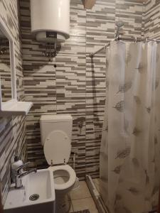 a bathroom with a toilet and a shower curtain at Apartmani Kajkut in Banja Luka
