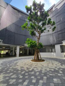 un pequeño árbol frente a un edificio en Sky Trees at AEON Bukit Indah with Netflix and Wifi en Johor Bahru