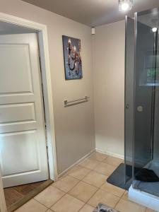 a bathroom with a shower and a glass door at Zair Apartments in Tallinn