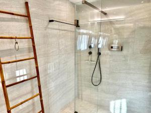 baño con ducha y puerta de cristal en Ferienwohnung Il Sogno mit privatem Seeanstoss in Riva San Vitale-Lugano, en Riva San Vitale