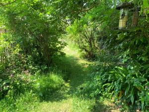 a path through a garden with grass and trees at 2 Bryher Barn in Penzance