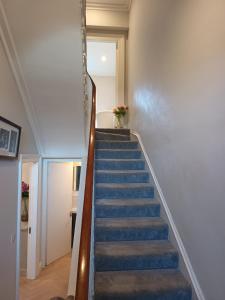 a stairway with blue carpeting and blue stairs at Eglinton Road - Super King - Ensuite in Bray