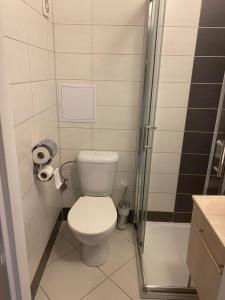 Ένα μπάνιο στο STING Apartments Havířov