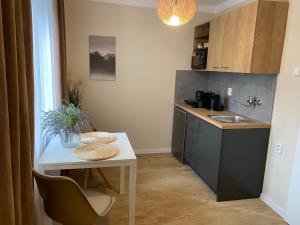 Η κουζίνα ή μικρή κουζίνα στο STING Apartments Havířov