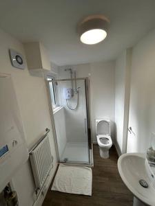 a bathroom with a shower and a toilet and a sink at Spacious 5-Bedroom Urban Haven in Luton