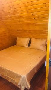 Billede fra billedgalleriet på Casuta Pescarului i Şimnicu de Sus