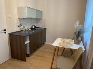 Η κουζίνα ή μικρή κουζίνα στο STING Apartments Havířov