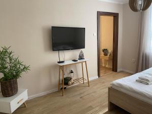 Μια τηλεόραση ή/και κέντρο ψυχαγωγίας στο STING Apartments Havířov