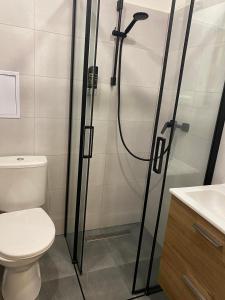 Ένα μπάνιο στο STING Apartments Havířov