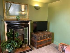 a room with a fireplace with a mirror and a plant at Hidden gem in heart of Breckland in Watton