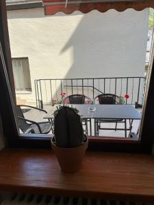 een plant in een pot op een balkon met een tafel bij Das kleine Stadthaus in Bernkastel-Kues