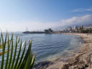 vistas a una playa con una ciudad en el fondo en Antofagasta Inolvidable, en Antofagasta