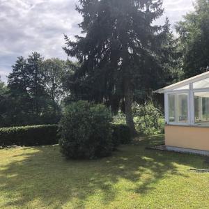 a house with a tree in a yard at Ferienhaus mit Wintergarten am See (Angelparadies) in Parey