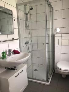 uma casa de banho com um chuveiro, um lavatório e um WC. em Ferienhaus mit Wintergarten am See (Angelparadies) em Parey
