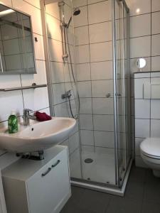 uma casa de banho com um lavatório, um chuveiro e um WC. em Ferienhaus mit Wintergarten am See (Angelparadies) em Parey