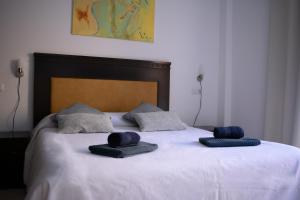 コラレホにあるCasa Surのベッド1台(上に枕2つ付)