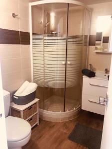 a bathroom with a shower and a toilet and a sink at Studio Le Mansart au pied du Château Insead in Fontainebleau +21 photos