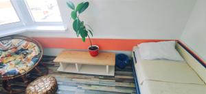 um pequeno quarto com uma mesa e um vaso de plantas em Inessa center budget room em Chişinău