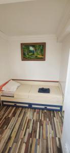 a bed in a room with a painting on the wall at Inessa center budget room in Chişinău
