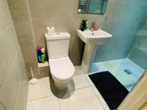 uma casa de banho com um WC e um lavatório em Cosy ground floor apartment em Huntingdon