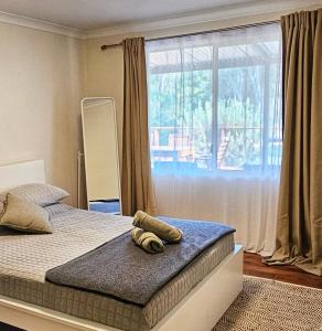 a bedroom with a bed and a large window at Forest Trails House, Dwellingup in Dwellingup