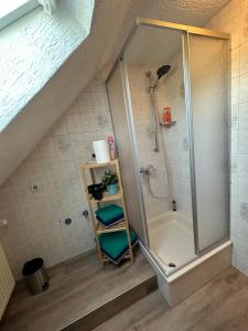 een badkamer met een douche en een bad bij Ferienwohnung in Ettinghausen 