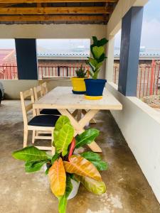 a table and chairs and a plant on a balcony at Pule's Home in Maseru