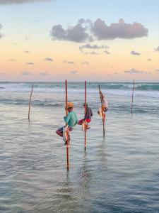 three people are standing on poles in the water at Aldea bleu in Midigama
