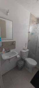 uma casa de banho com um WC, um lavatório e um espelho. em Departamento-Poliforum Feria Estadio Zona Piel. em León