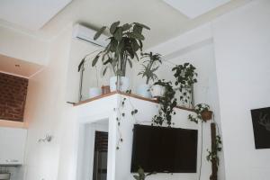 a living room with a tv and some plants at Luxury Loft - Milano Centrale in Milan