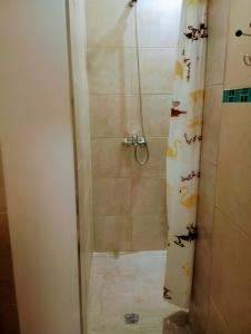 a bathroom with a shower with a shower curtain at Departamento 2 Complejo Sol de Oeste in San Juan