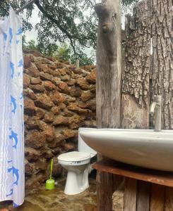 baño con lavabo, aseo y pared de piedra en Watergate lodge, en Larabanga