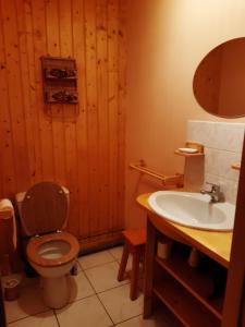 a bathroom with a toilet and a sink at Les Angéliques in Gérardmer