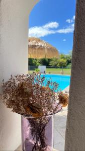 Photo de la galerie de l'établissement Alpilles Camargue Mas Falabrego, à Raphèle