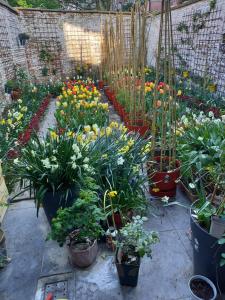 Giardino di Your homestay in a bibliophile mansion