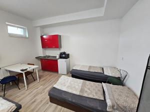 een kleine kamer met 2 bedden en een kleine keuken bij Ubytování Střekov Aréna in Ústí nad Labem