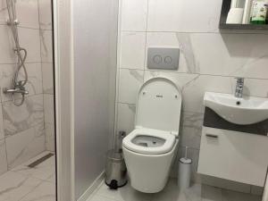La petite salle de bains est pourvue de toilettes et d'un lavabo. dans l'établissement AR İSTANBUL, à Istanbul