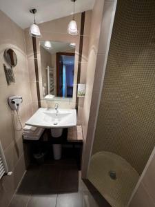 uma casa de banho com um lavatório e um chuveiro em Les Remparts em Mirepoix