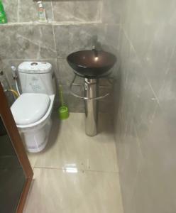 La salle de bains est pourvue d'un lavabo et de toilettes. dans l'établissement Victorus Homes, à Freetown