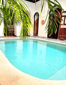 una piscina de agua azul y una palmera en Riad El Grably en Marrakech