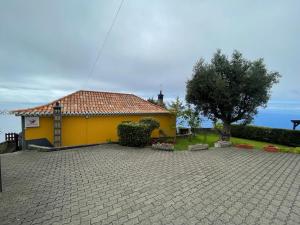 Una casa amarilla con un árbol delante. en CASA DOS FALCÕES casa rural de construção tradicional, en Fajã da Ovelha