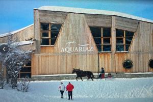 Appartement ambiance chalet Avoriaz v zimě