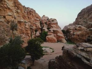 a view of a rocky mountain with trees in it at Euphoria bed & breakfast in Wadi Musa