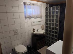 La salle de bains est pourvue de toilettes, d'un lavabo et d'une douche. dans l'établissement Tommen’s Crib, à Hemsedal