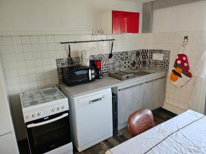 LA BOURZEDE في Langeac: مطبخ صغير مع موقد ومغسلة